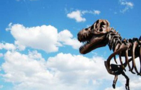 Cel mai vechi stramos al lui T-Rex, descoperit in SUA