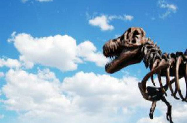 Cel mai vechi stramos al lui T-Rex, descoperit in SUA