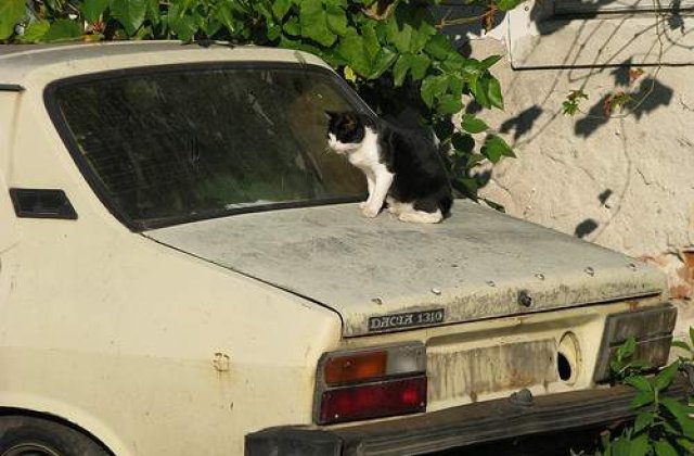 Programul Rabla, suplimentat cu 50.000 de tichete