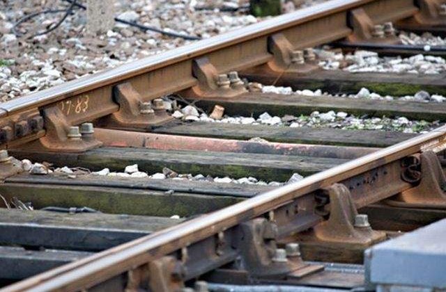 Ramona Manescu vrea sa investeasca in reabilitarea infrastructurii feroviare