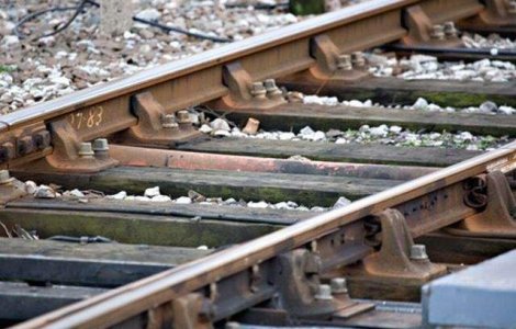 Ramona Manescu urmareste reabilitarea infrastructurii feroviare