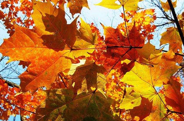 Meteo: Vremea se strica la inceputul saptamanii