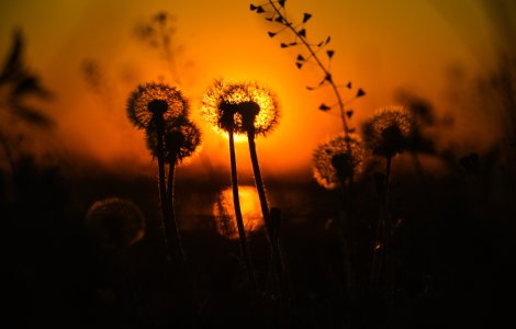 Prognoza meteo pentru weekendul 11-12 septembrie 2021. Ne așteaptă temperaturi ridicate