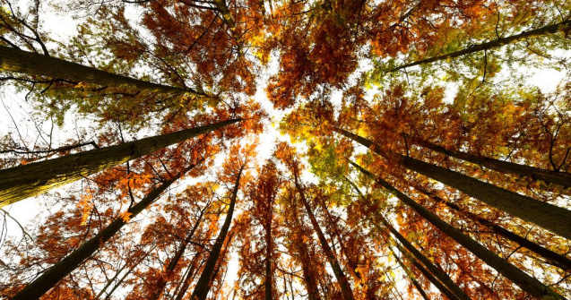 Prognoza meteo pentru ziua de marți, 14 septembrie. Temperaturi de vară în sudul Olteniei