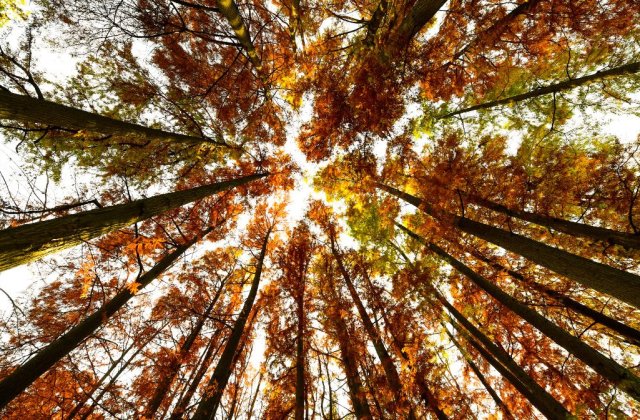 Prognoza meteo pentru ziua de marți, 14 septembrie. Temperaturi de vară &icirc;n sudul Olteniei