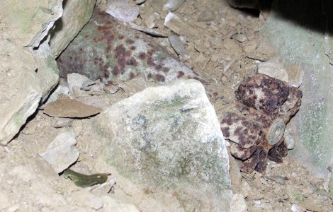 Bombă de aruncător găsită la Botoșani. Era în perfectă stare de funcționare și putea exploda oricând