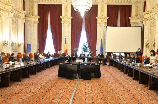 PSD: „Criza politică se poate rezolva prin organizarea de alegeri anticipate”