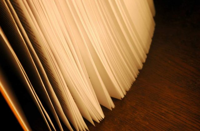 Institutiile "au tot timpul dreptate"