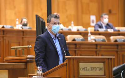 Moșteanu: Cererea PNL de...