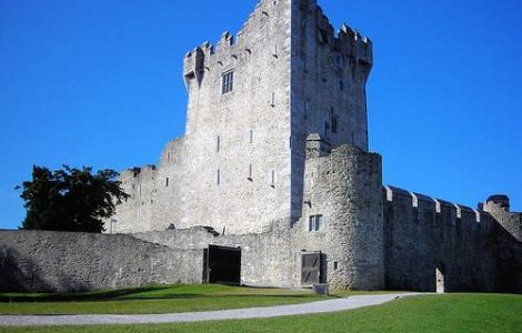 Un roman cu un bordel in Irlanda este trimis inapoi in tara