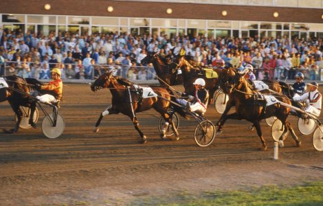 Spectacol de teatru ecvestru, la Arenele Romane