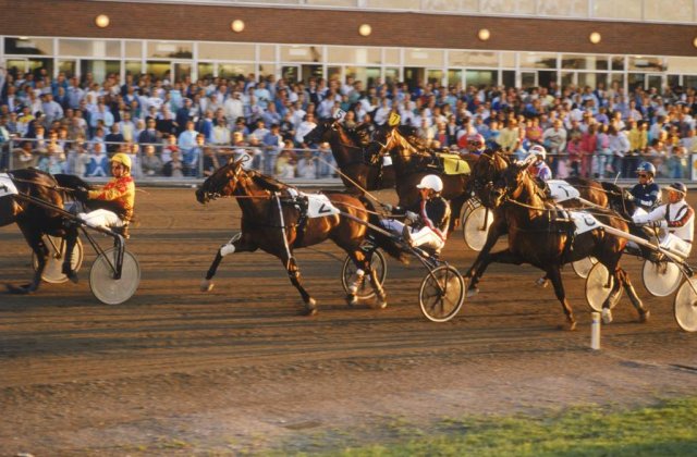 Spectacol de teatru ecvestru, la Arenele Romane