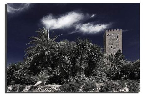 Tot mai multi romani traiesc in sudul Spaniei