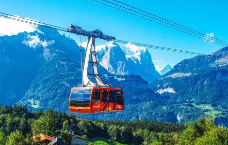 O telecabină din Bușteni cu zece oameni a rămas blocată din cauza unui urs