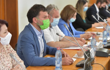 Berceanu: Demiterea mea - o decizie strict politică; până la mine, comisarii lucrau sub presiune politică