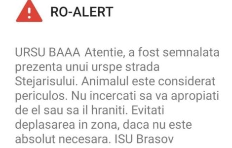 Mesaj neobișnuit RO-Alert pentru locuitorii din Brașov. „URSUL BAAA”