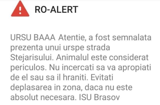 Locuitorii din Brașov, atenționați printr-un mesaj RO-Alert neobișnuit. „URSUL BAAA”