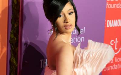 Vedete care și-au distrus...