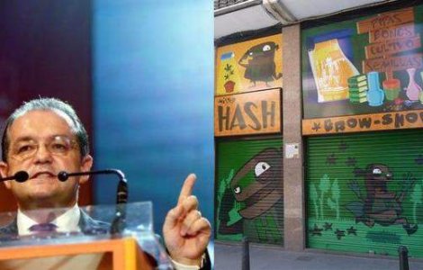 Guvernul a interzis etnobotanicele...din nou