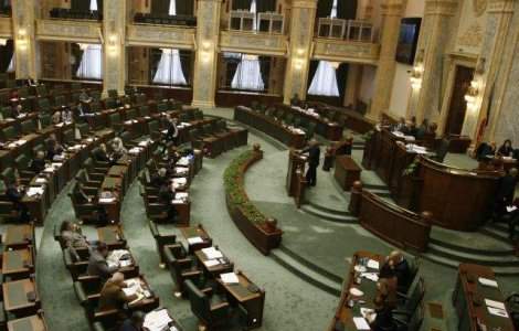 Comisie parlamentara pentru creditul Ioanei Basescu