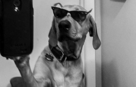 Cuvantul anului sarbatoreste narcisismul