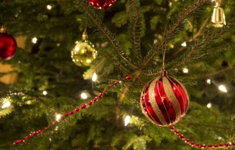 Un brad de Craciun de 26 de metri va fi instalat in Brasov