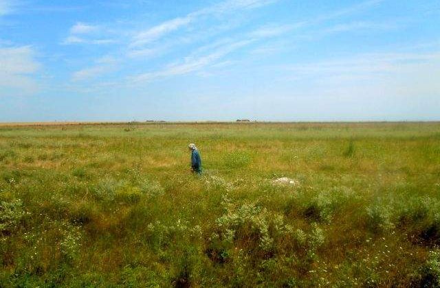 Ne vindem tara? Strainii pot cumpara neconditionat teren agricol