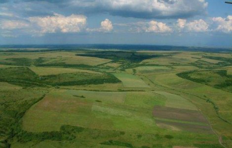 Ioana Basescu va primi subventii de 46.000 de euro pe an pentru terenul agricol