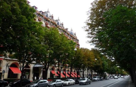 Strazile cu cea mai mare concentratie de miliardari/mp