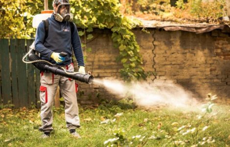 Citeste articolul si protejeaza-te eficient importriva daunatorilor!