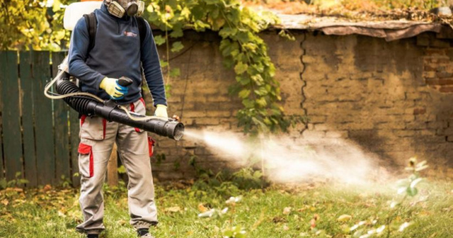 Citeste articolul si protejeaza-te eficient importriva daunatorilor!