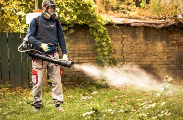 Citeste articolul si protejeaza-te eficient importriva daunatorilor!