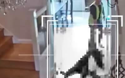 Săndel Hornea a pledat...