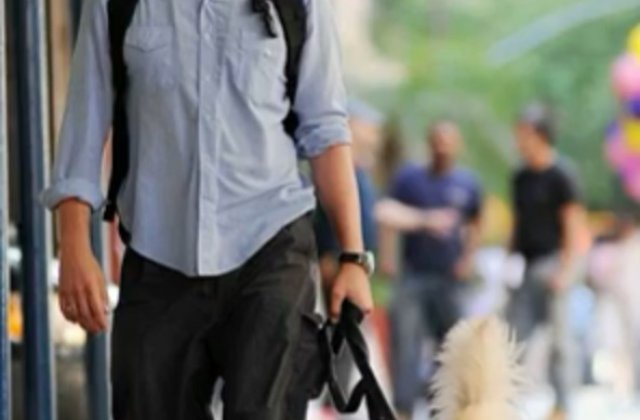 Vedete care iubesc animalele și care adoptă când au ocazia