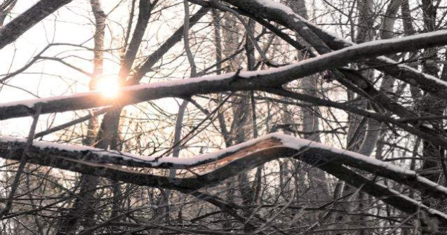 Cod galben de ninsori si intensificari ale vantului