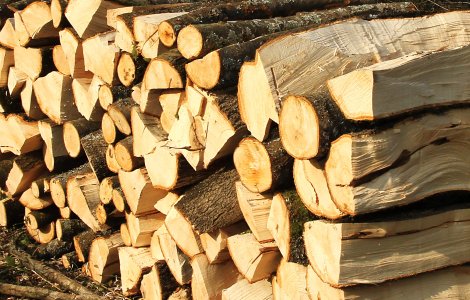 Lemnele de foc, tot mai scumpe. Cât plătește o familie pentru a-și asigura încălzirea locuinței