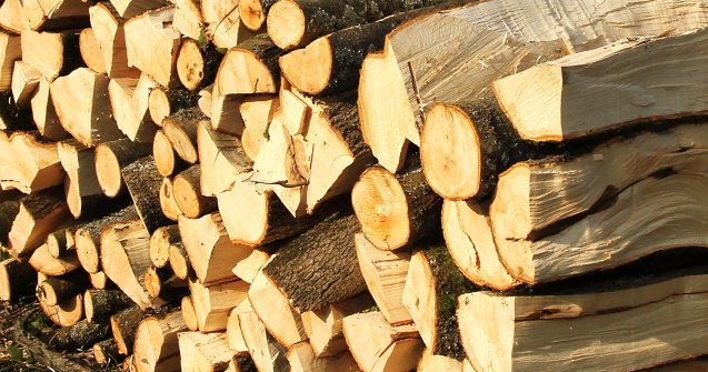 Lemnele de foc, tot mai scumpe. Cât plătește o familie pentru a-și asigura încălzirea locuinței