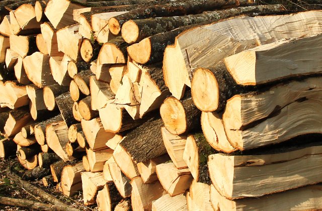 Lemnele de foc, tot mai scumpe. C&acirc;t plătește o familie pentru a-și asigura &icirc;ncălzirea locuinței