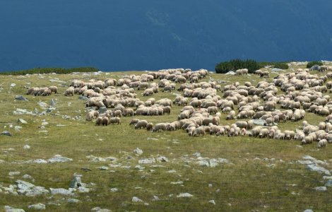 Cum va fi vremea luni, 4 octombrie 2021. Continuă încălzirea vremii