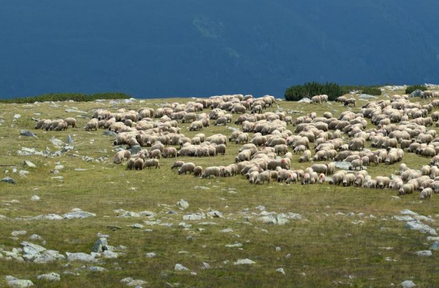 Cum va fi vremea luni, 4 octombrie 2021. Continuă încălzirea vremii