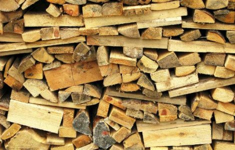 Alternativa Ucrainei pentru gazul rusesc: Lemnele din padure