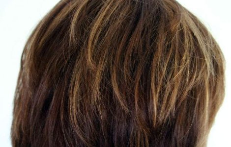 Japonezii au inventat peruca inteligenta