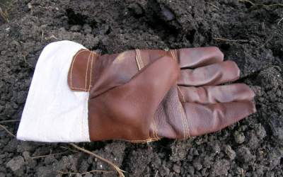 Portugalia: 32 de muncitori...