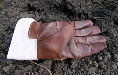 Portugalia: 32 de muncitori romani, descoperiti in conditii deplorabile