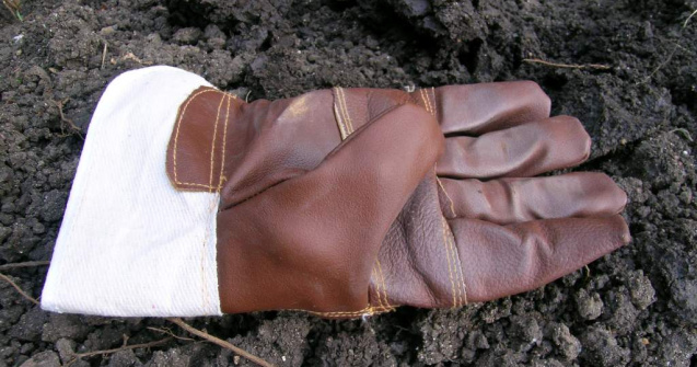 Portugalia: 32 de muncitori romani, descoperiti in conditii deplorabile