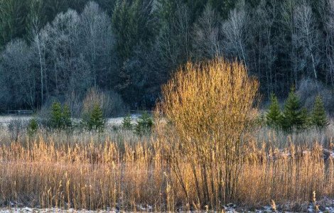 Meteo: Cum va fi vremea in weekend