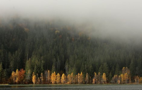 Vremea pentru ziua de joi, 7 octombrie 2021. Continuă să se răcească!