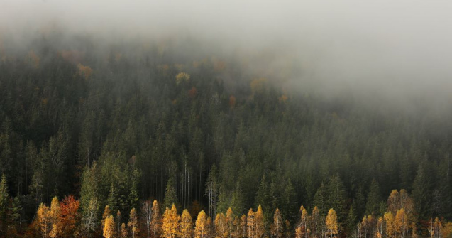 Vremea pentru ziua de joi, 7 octombrie 2021. Continuă să se răcească!