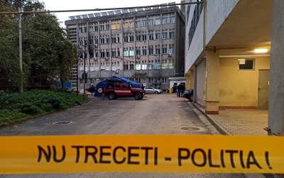 Stadiul cercetărilor în cazul...