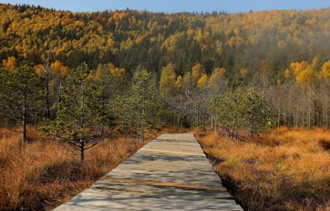  Top  Prognoza meteo pentru ziua de vineri, 8 octombrie 2021. Așteptăm o zi deosebit de rece